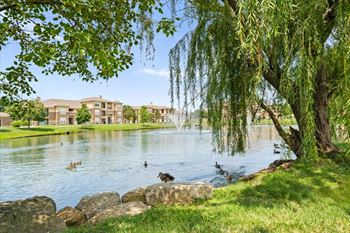 Large lake view
